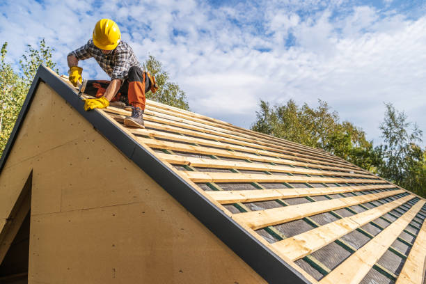 Roof Gutter Cleaning in Spring Valley Lake, CA